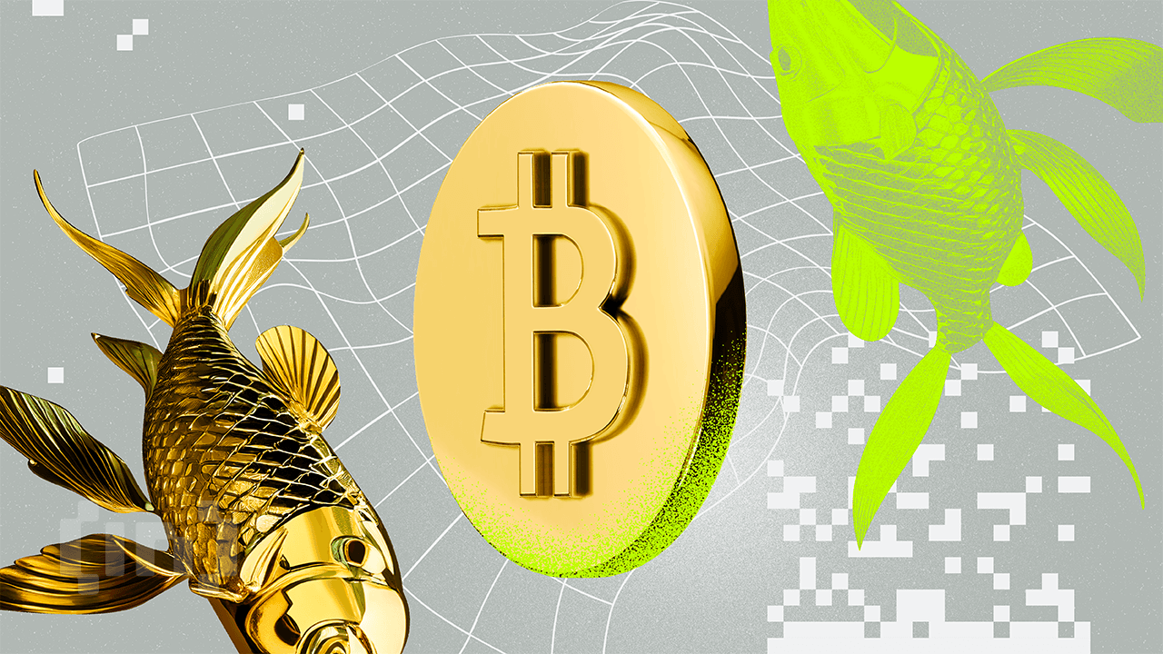 Bitcoin seuraa kullan hintarallia 100 päivän viiveellä likviditeettibuumin keskellä, sanoo analyytikko