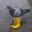 Pigeon In Yellow Boots