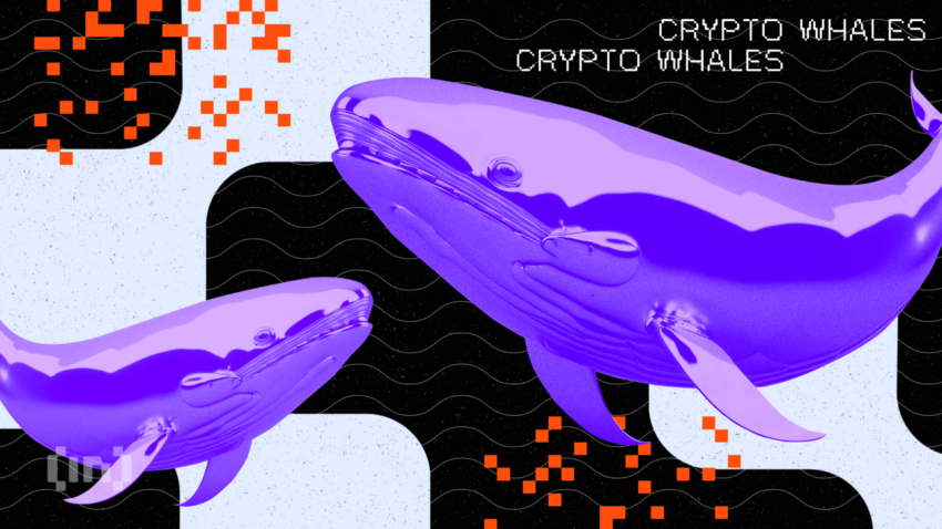 Kryptovalas purkaa 46 miljoonaa dollaria Ethereumista markkinoiden ETF-päätöksenä