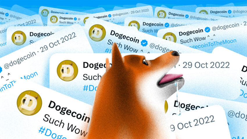 DogeChain lopettaa toimintansa: Vedä Dogecoin (DOGE) nyt