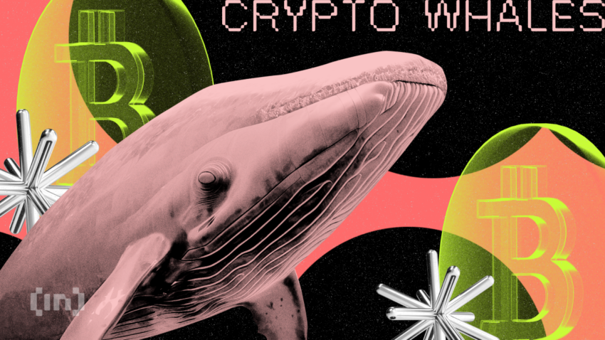 Yksityissijoittajat ostavat dipin, kun taas Crypto Whale myy yli 400 miljoonaa dollaria Bitcoinina (BTC)