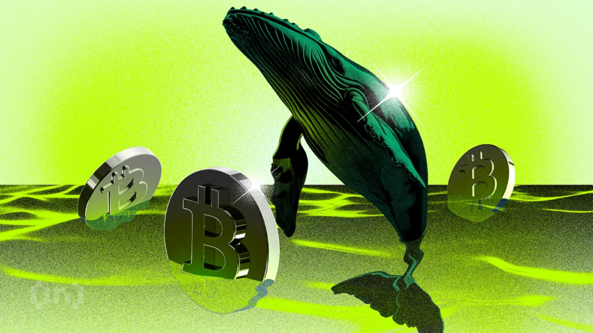 Uudet Bitcoin-valaat hallitsevat nyt suurinta osaa BTC-pääomasta | Viikoittainen valasraportti