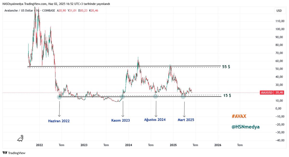 AVAX Price Performance Over the Last 4 Years. Source: Hasan