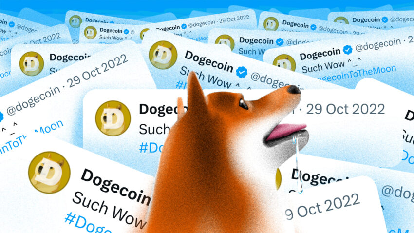 Dogecoin FOMO tulossa? Elokuun katalyytit, joita kannattaa seurata tarkasti