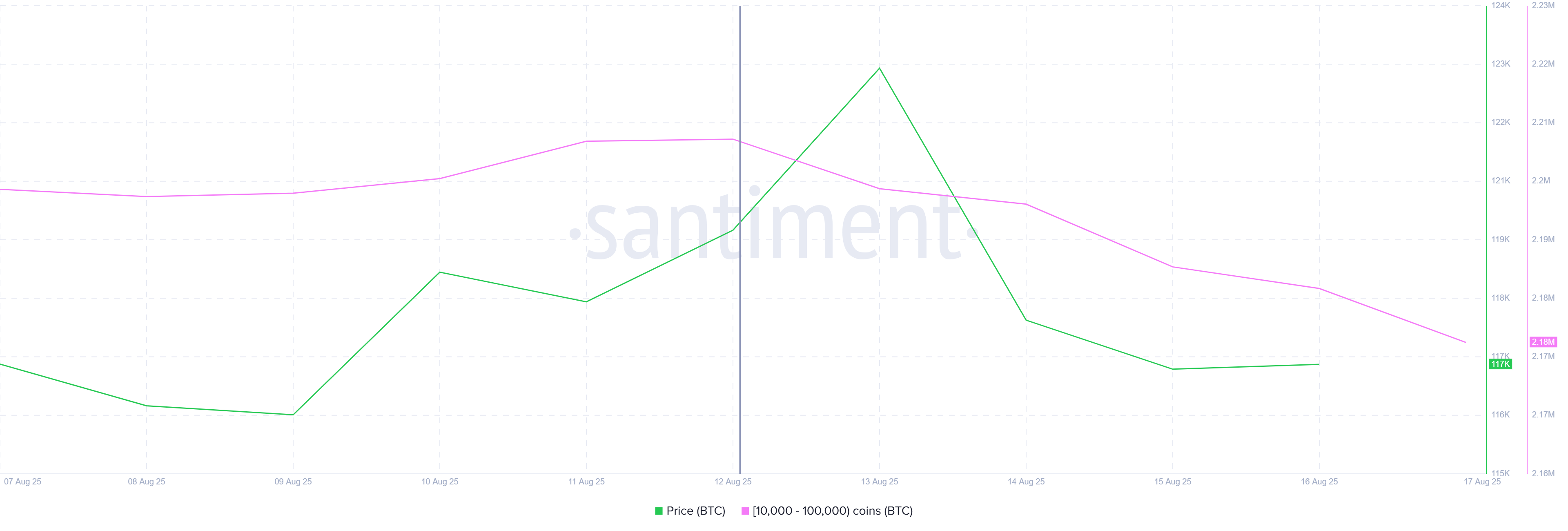 Bitcoin Whale Holding
